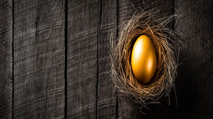 golden egg in a nest on a table