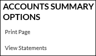 Account summary options